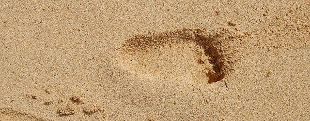 We chose to adopt. I thought adoption would never be a path I would follow